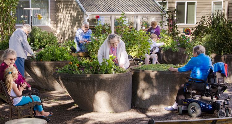 Future of Assisted Living Facilities in the US | Comprehensive Report- 2019